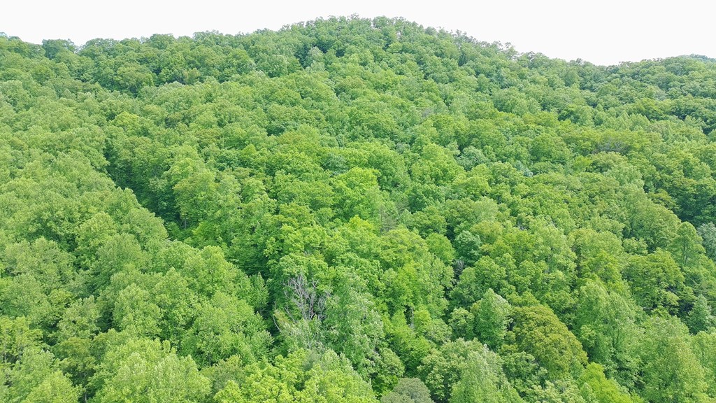 0 Off of Mountainaire Ridge