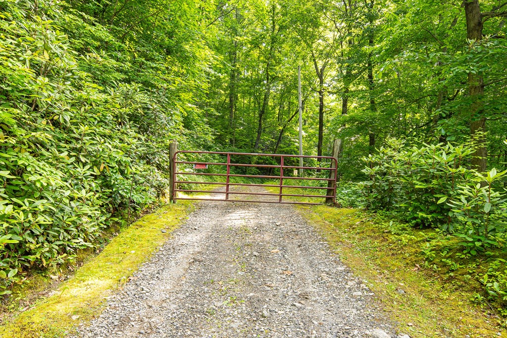 832 Dunloggin Road
