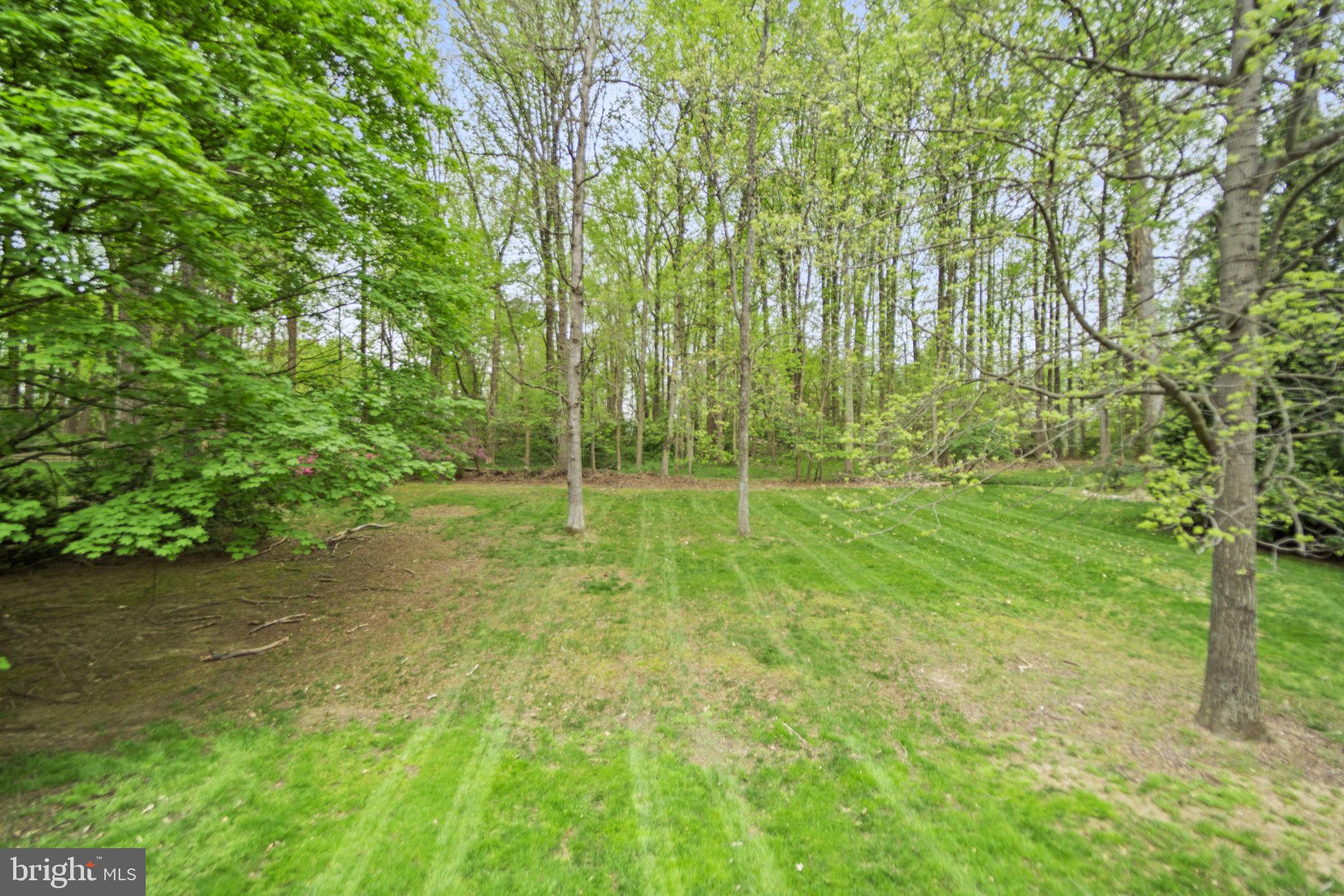 10317 Hickory Forest Dr