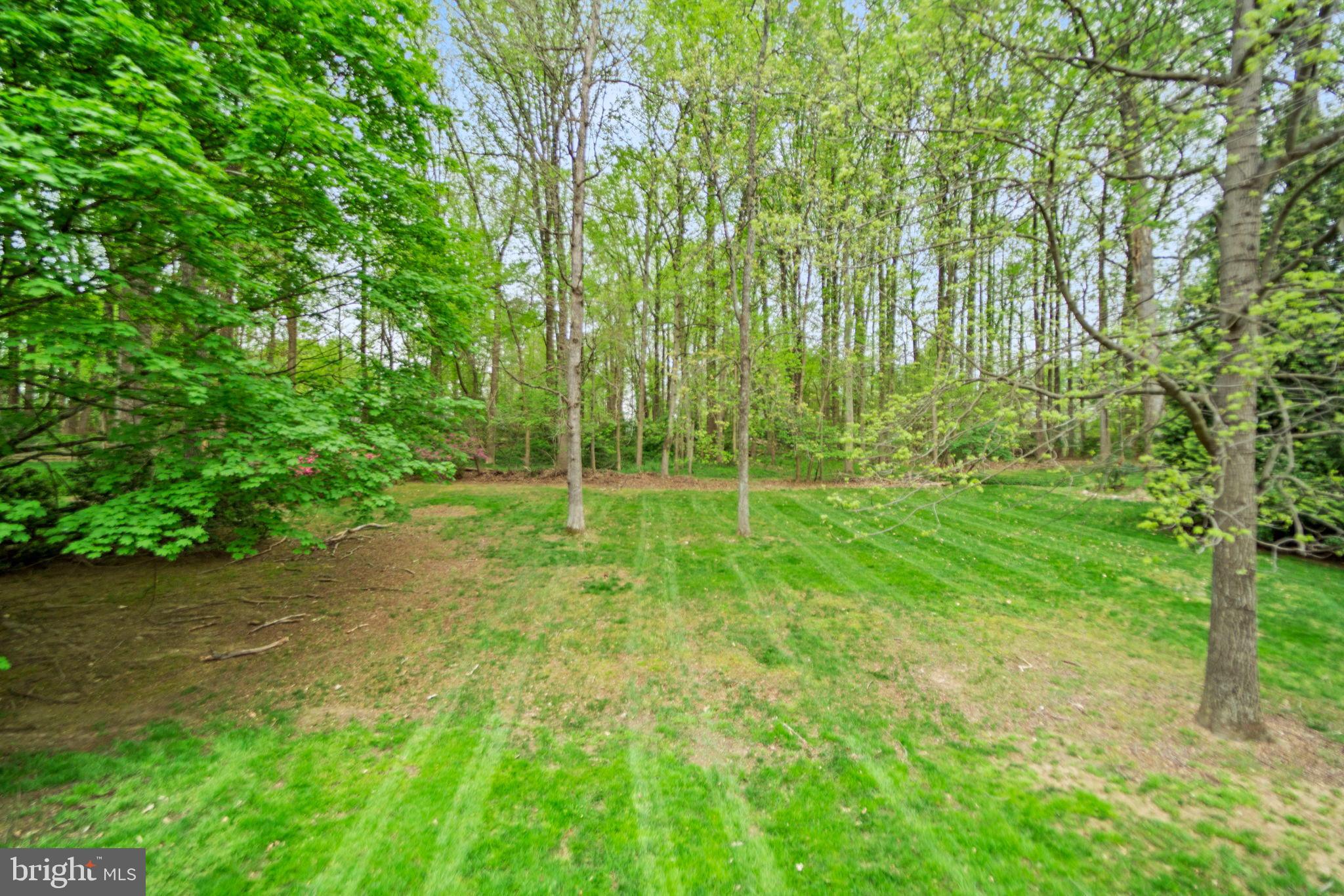 10317 HICKORY DRIVE