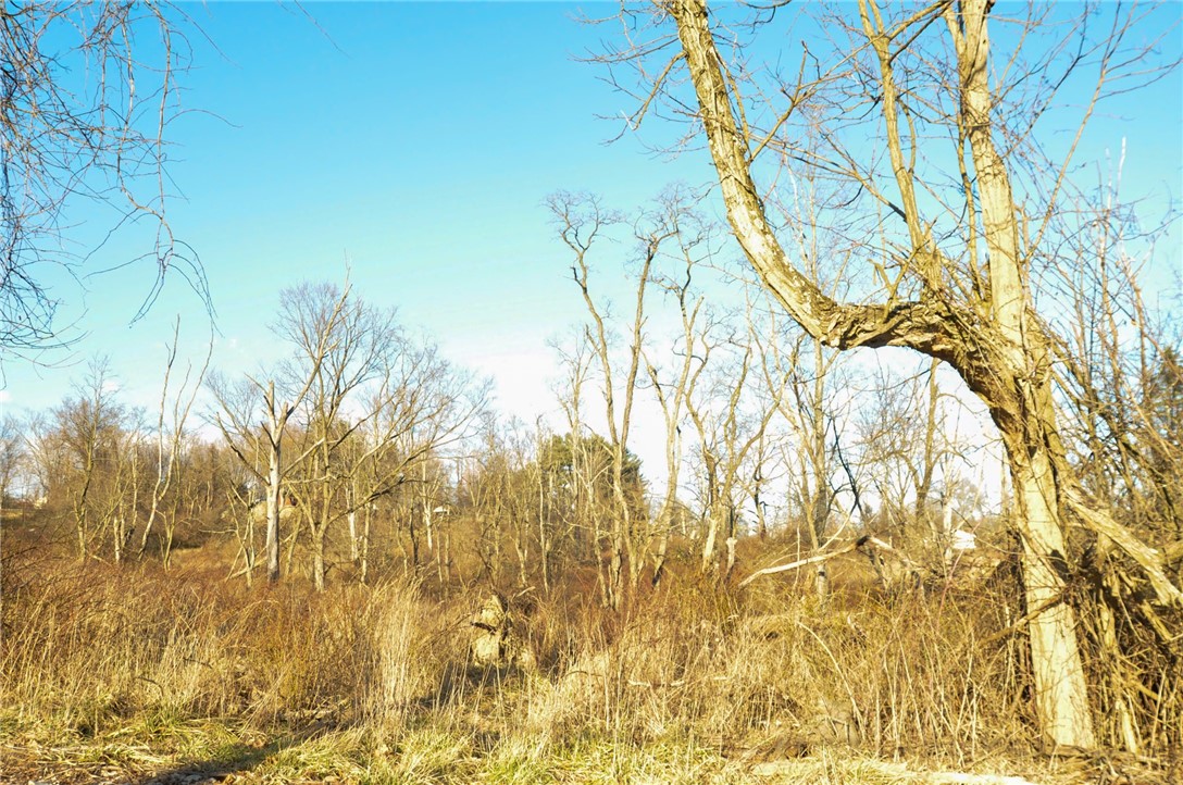 105 Woodland and Pinewood