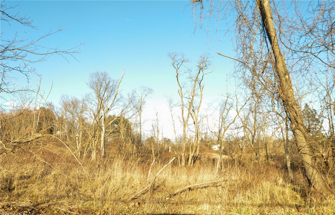 105 Woodland and Pinewood