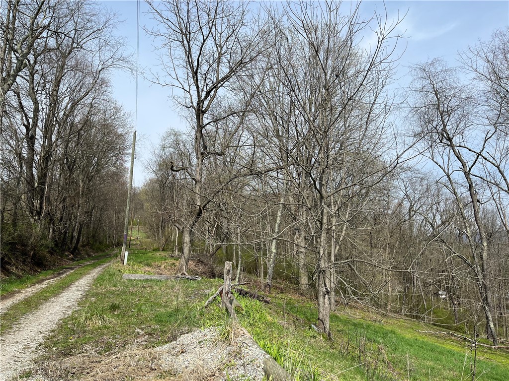 312 Woodchuck Lane