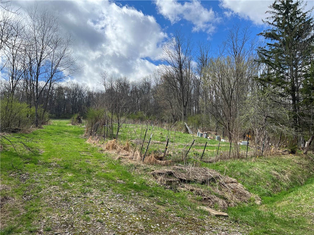 342 Woodchuck Lane