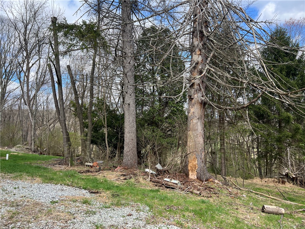 342 Woodchuck Lane