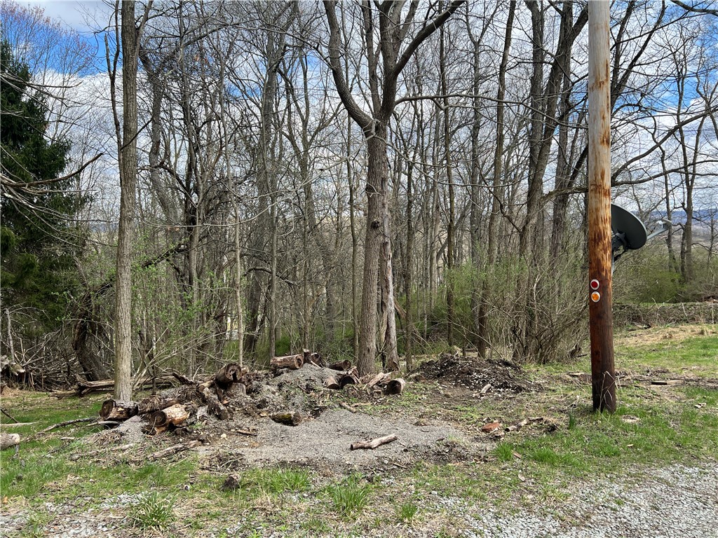 342 Woodchuck Lane