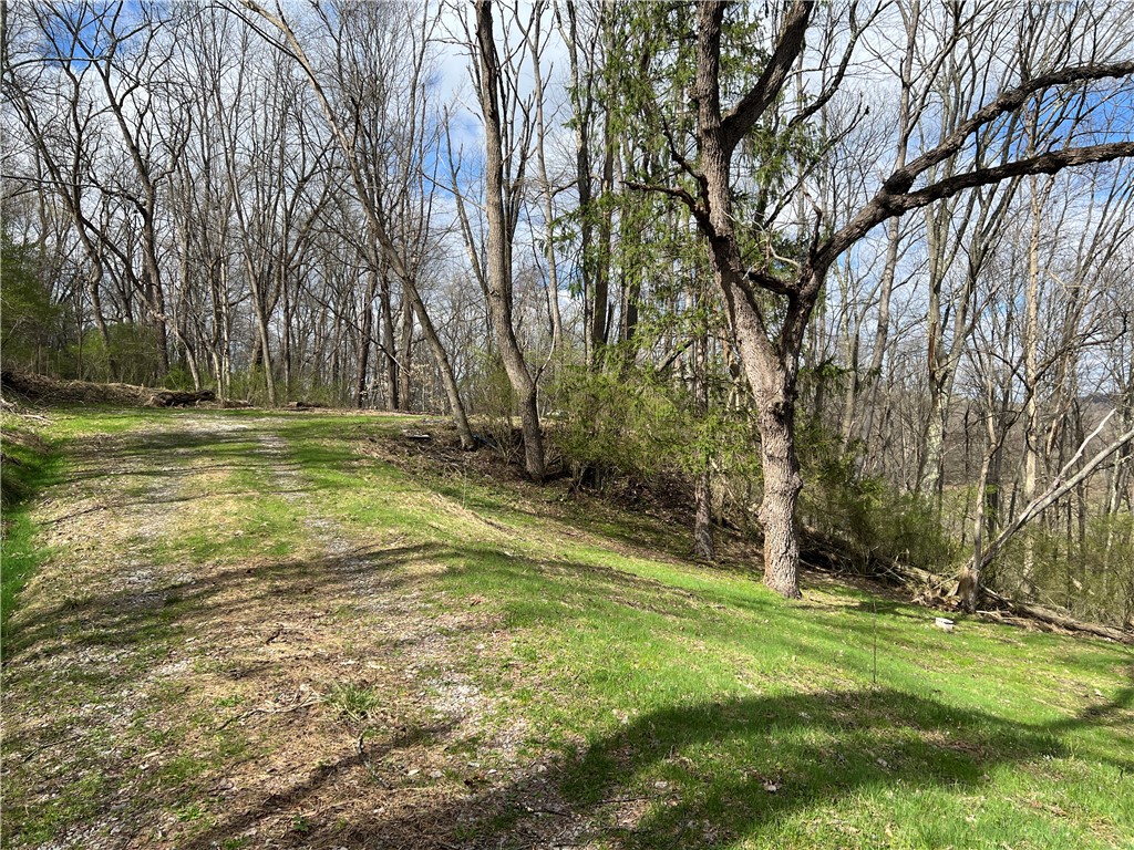342 Woodchuck Lane