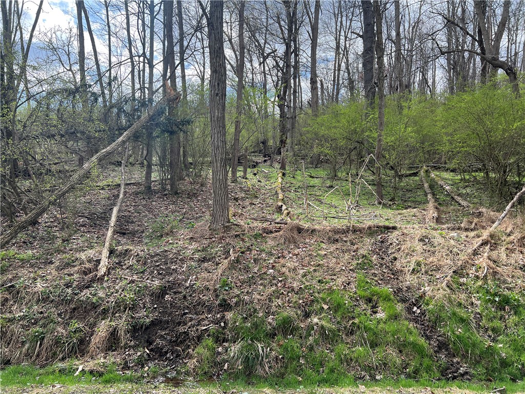 342 Woodchuck Lane