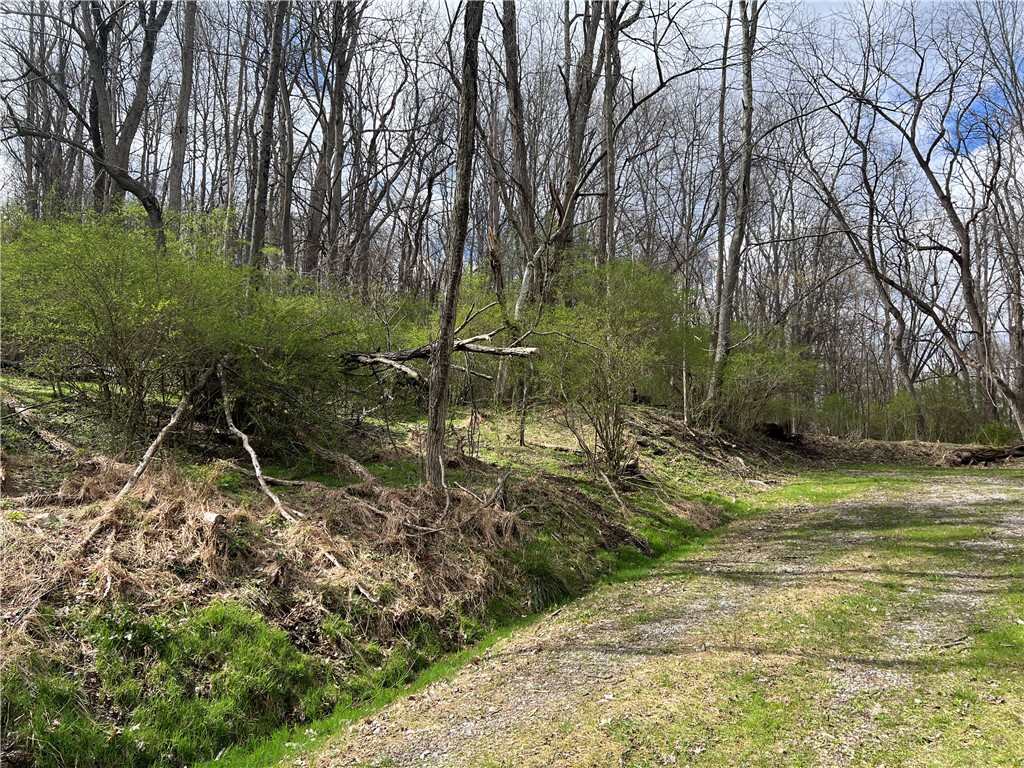 342 Woodchuck Lane
