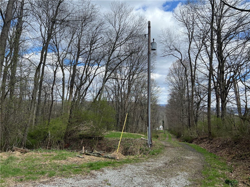 342 Woodchuck Lane