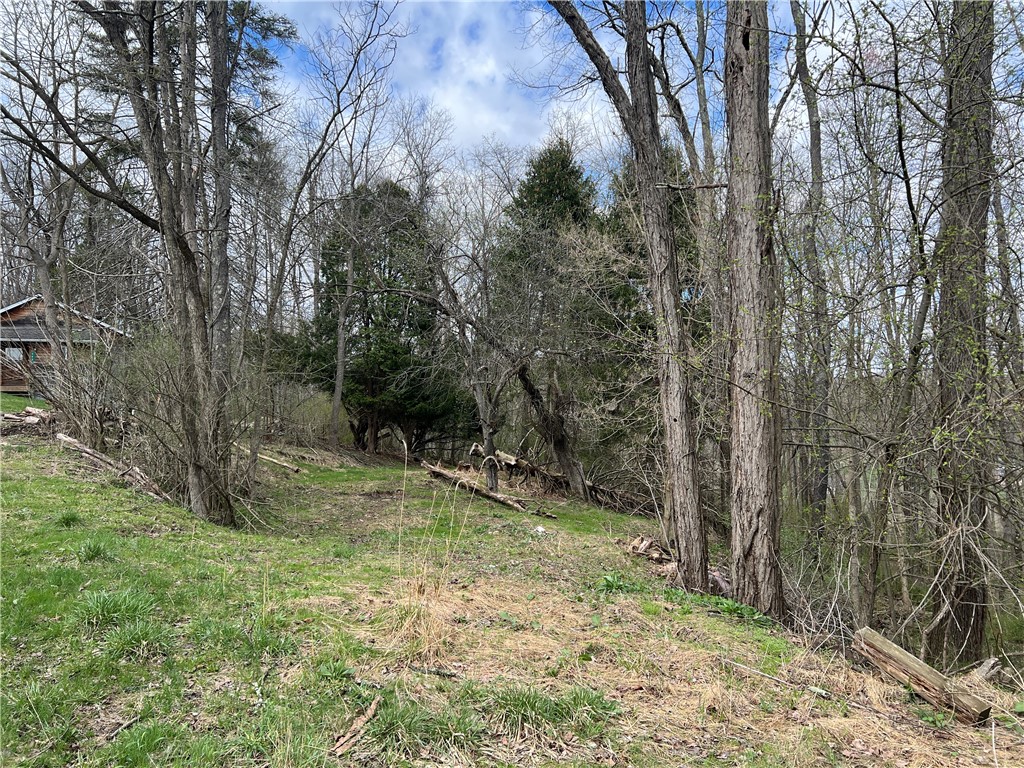 342 Woodchuck Lane