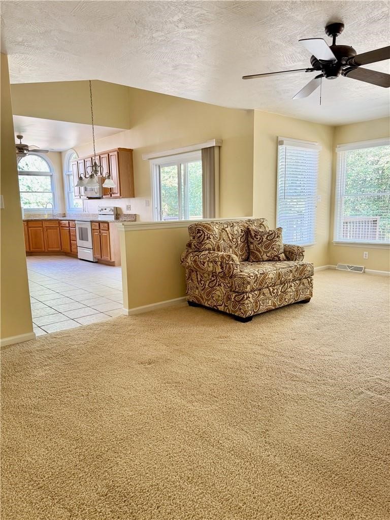 104 POINT VIEW COURT