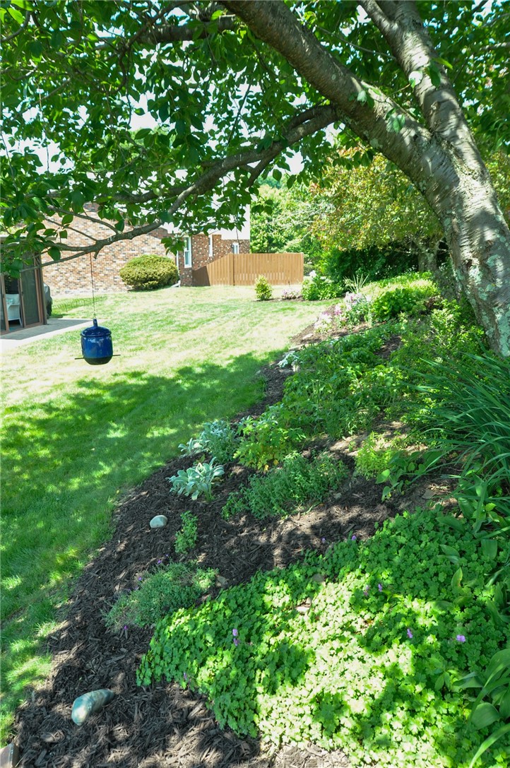 4048 Briarwood Dr.