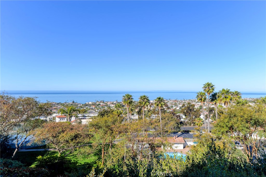 Ocean and coastal neighborhood view framed by palms, with a swimming pool below.