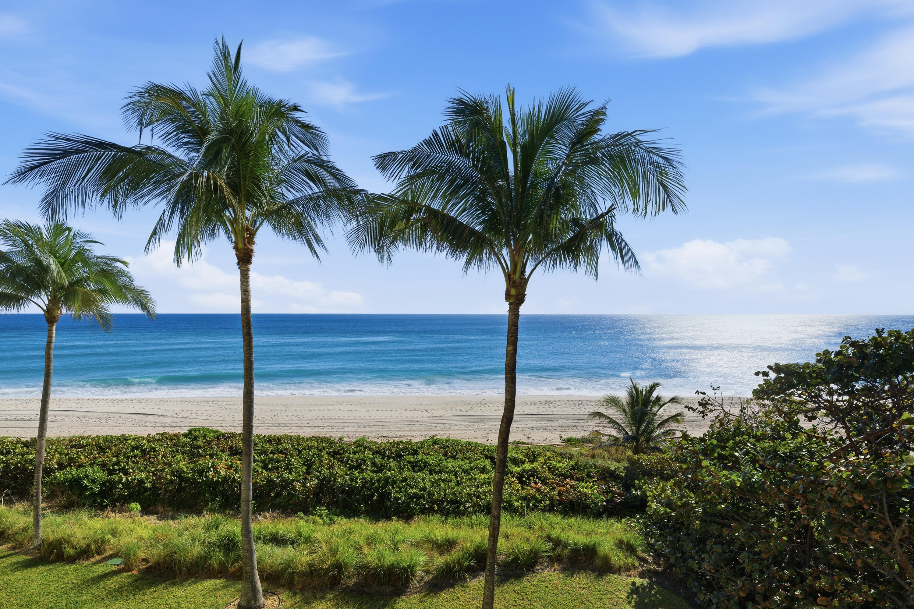 1063 Hillsboro Mile 301