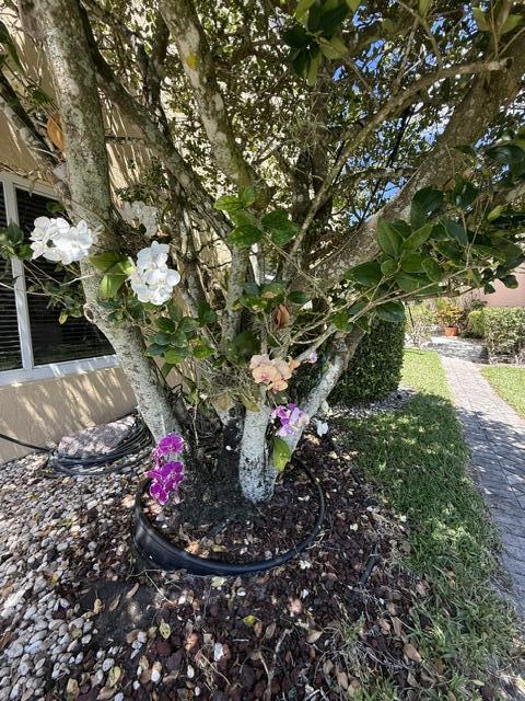 8306 Horseshoe Bay Road