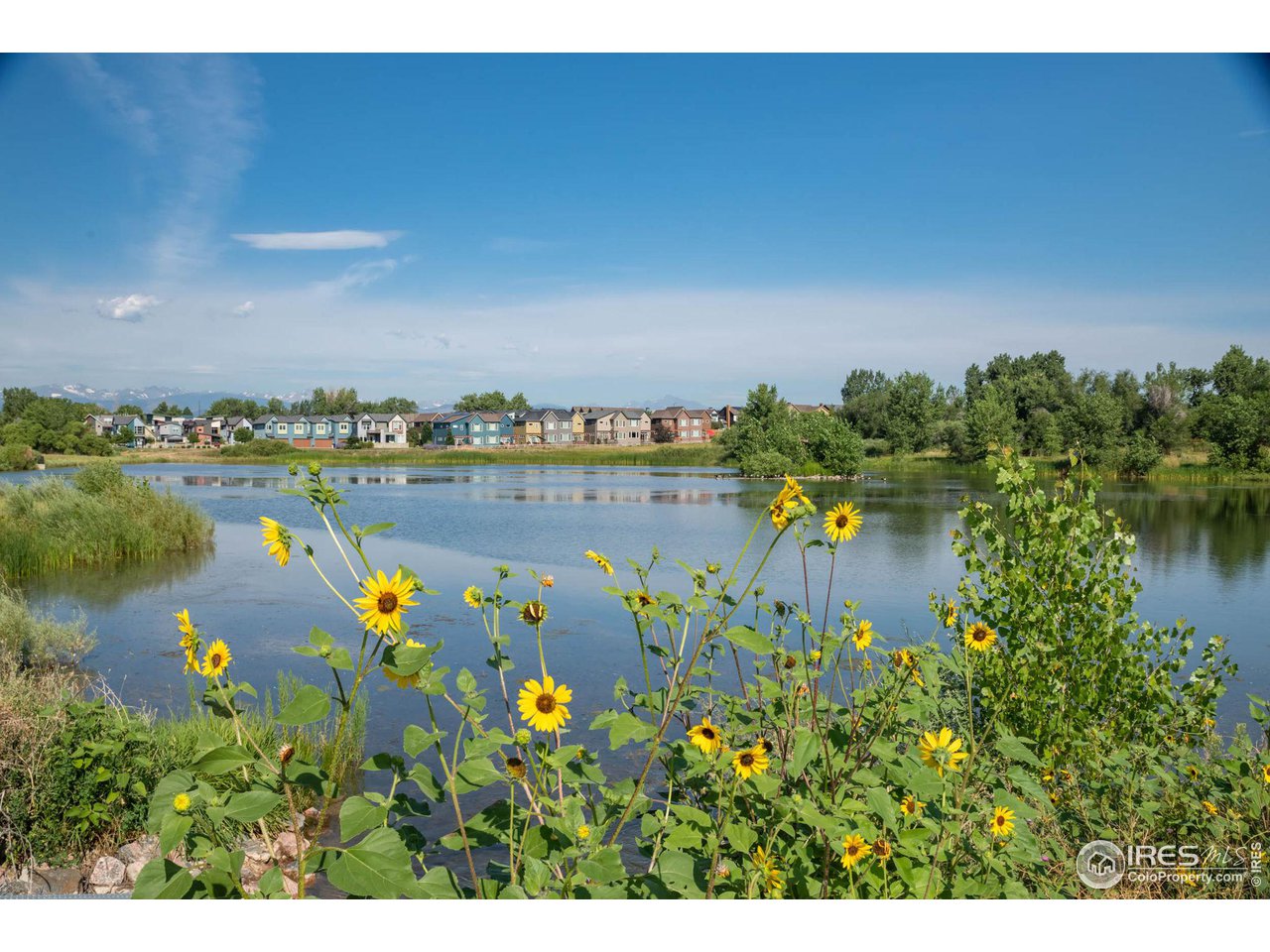 2164 E Hecla Dr B