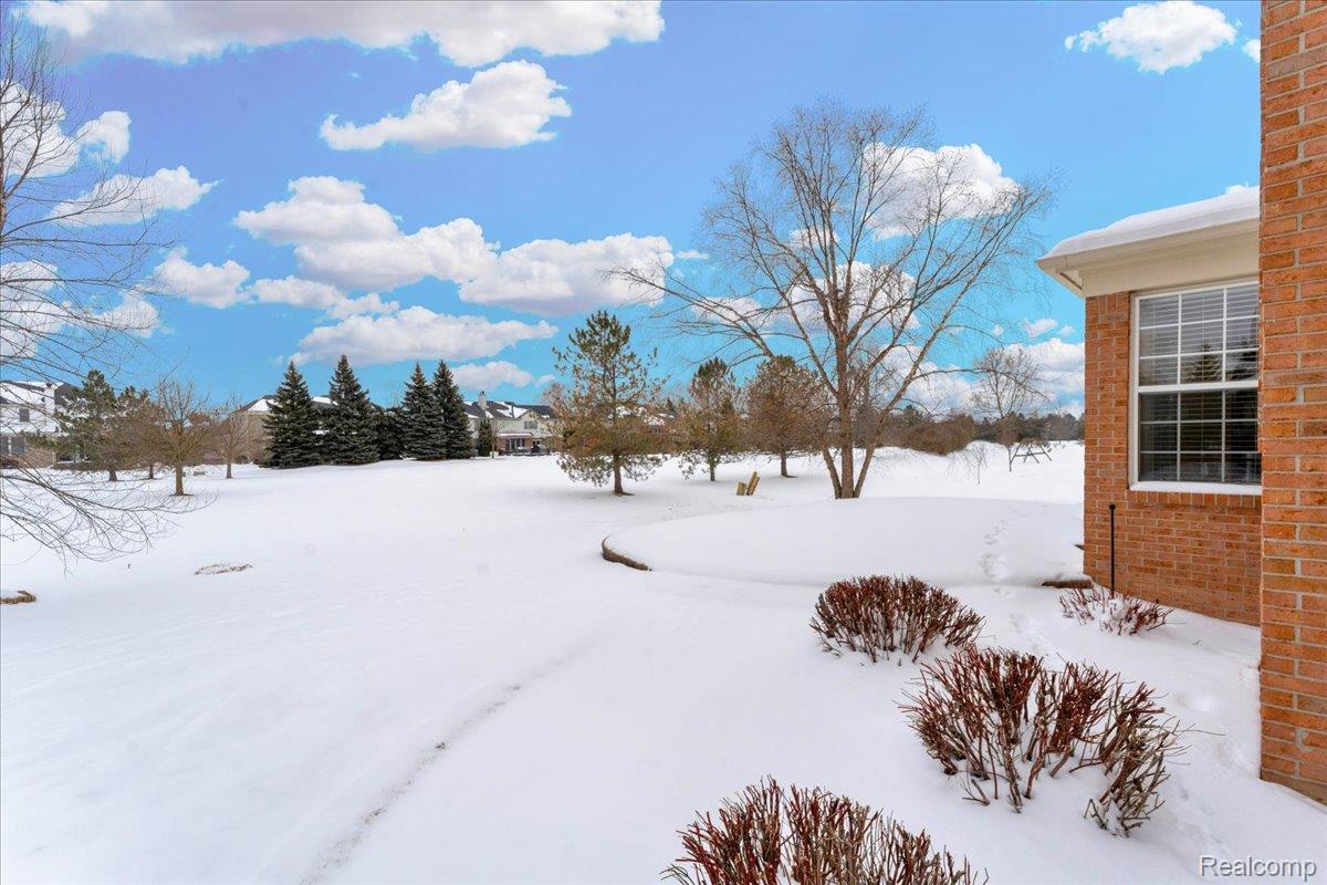 379 Springfield Drive