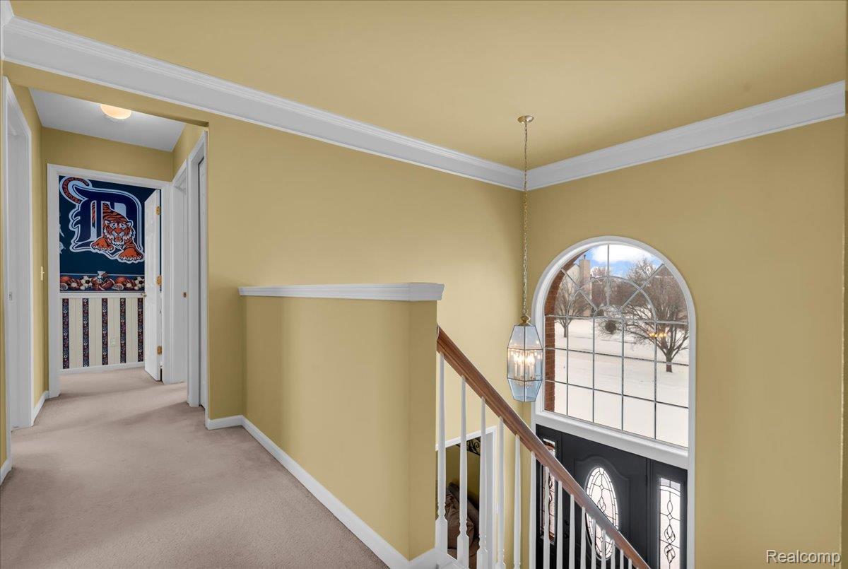 379 Springfield Drive