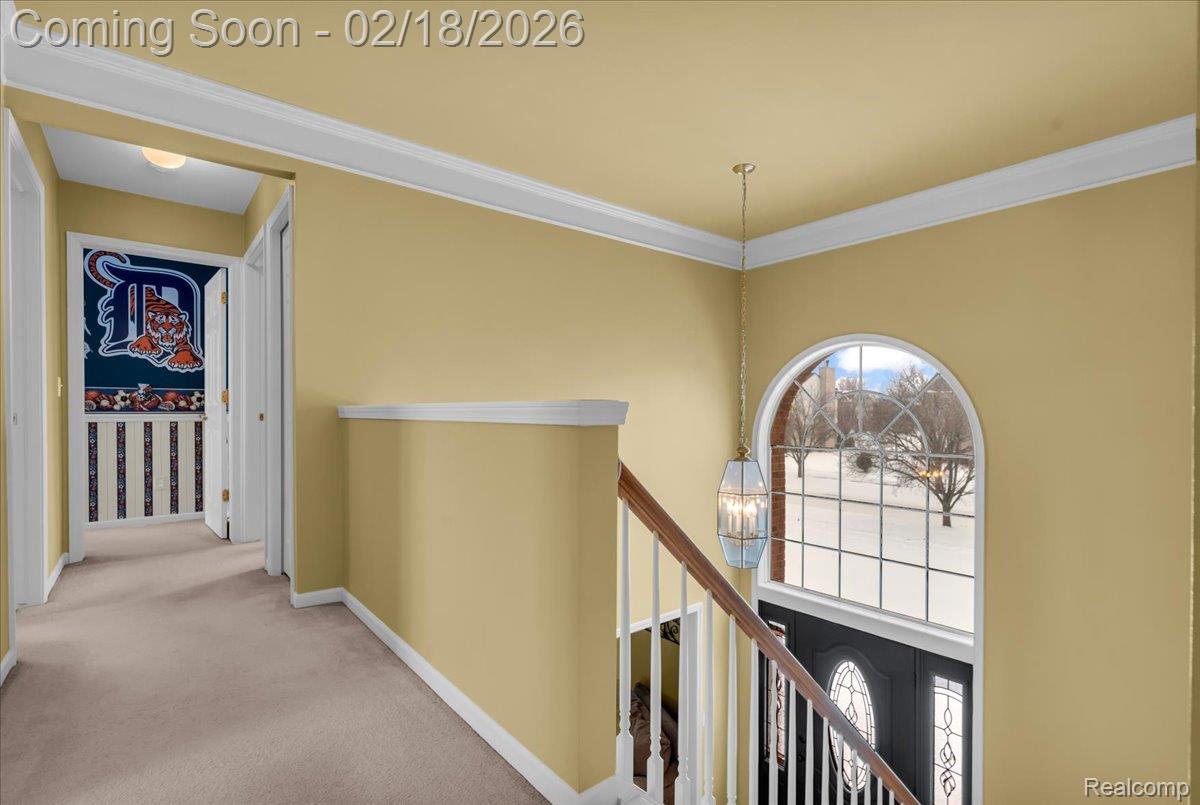 379 Springfield Drive