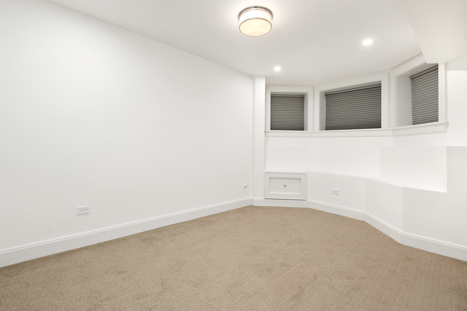 1319 W Cornelia Avenue