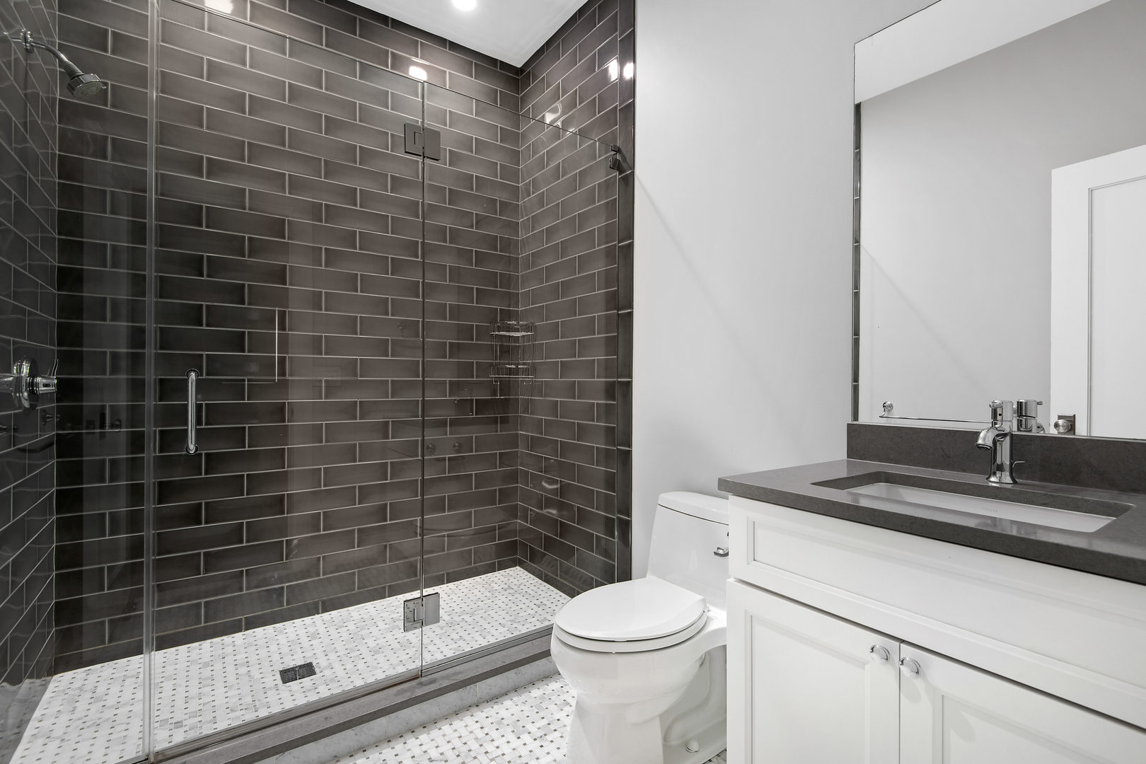 1319 W Cornelia Avenue