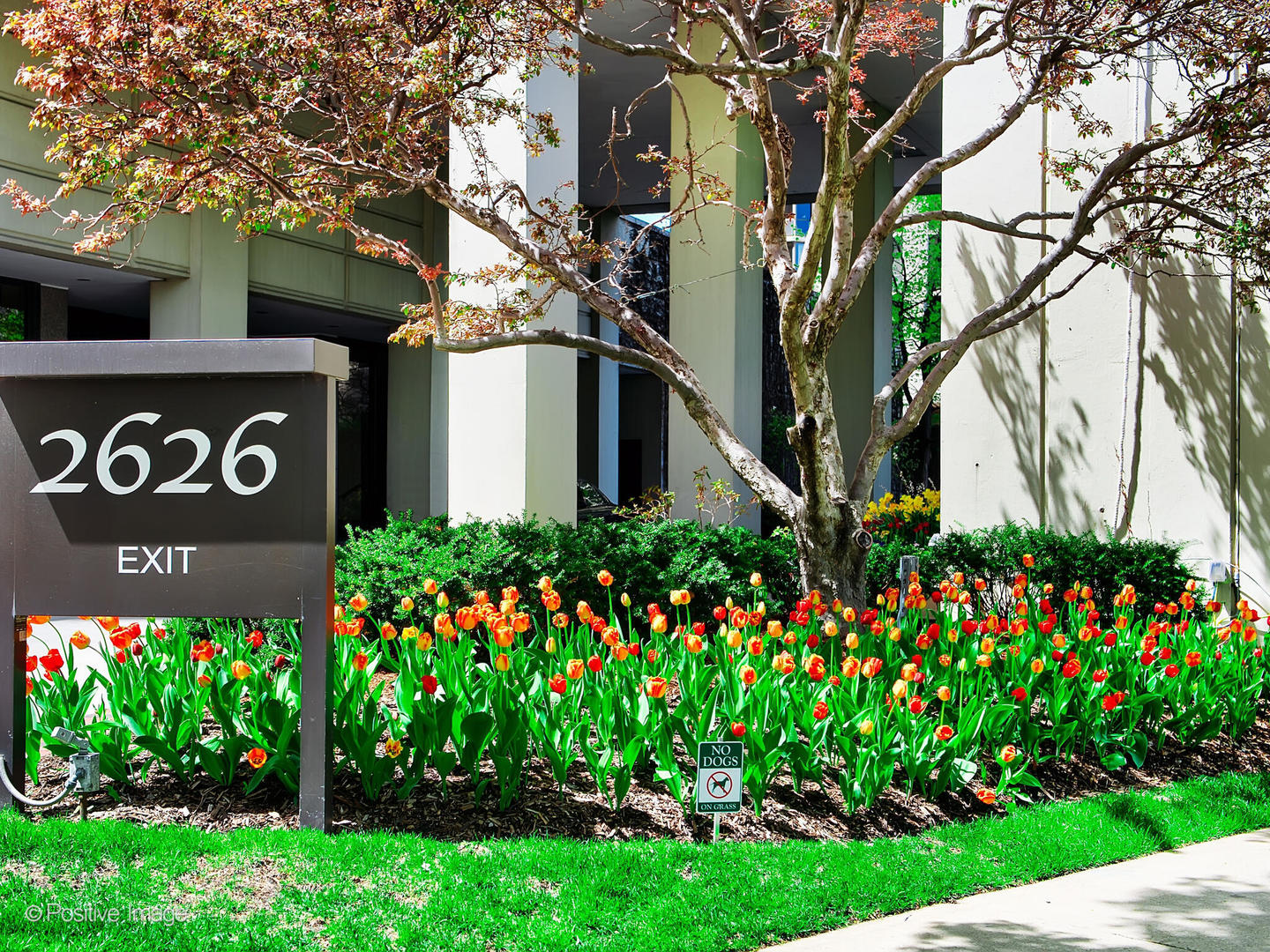 2626 N Lakeview Avenue Unit: 1204