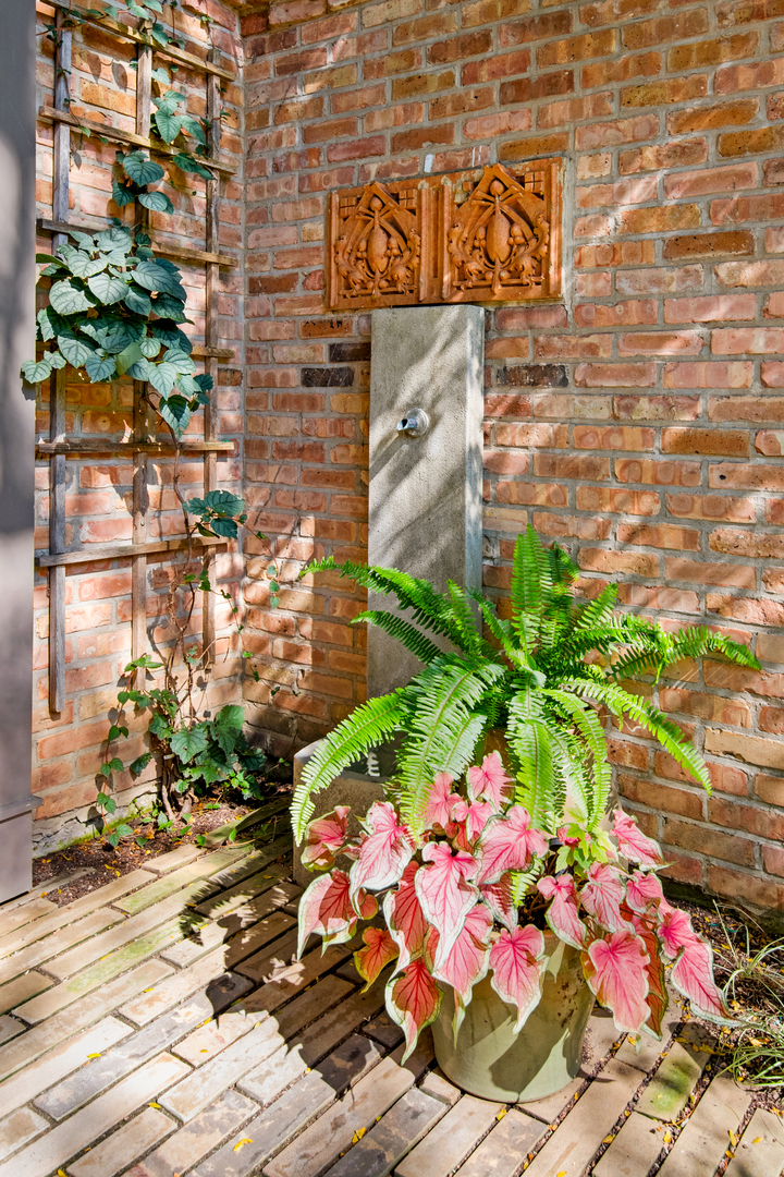 229 W Eugenie Street