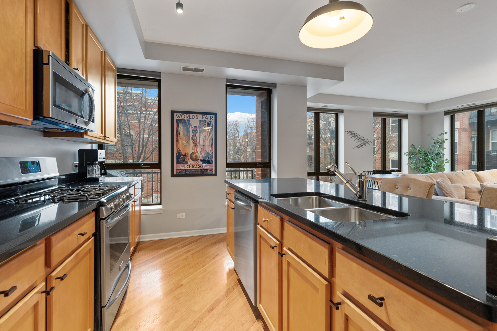 343 W Old Town Court Unit: 204