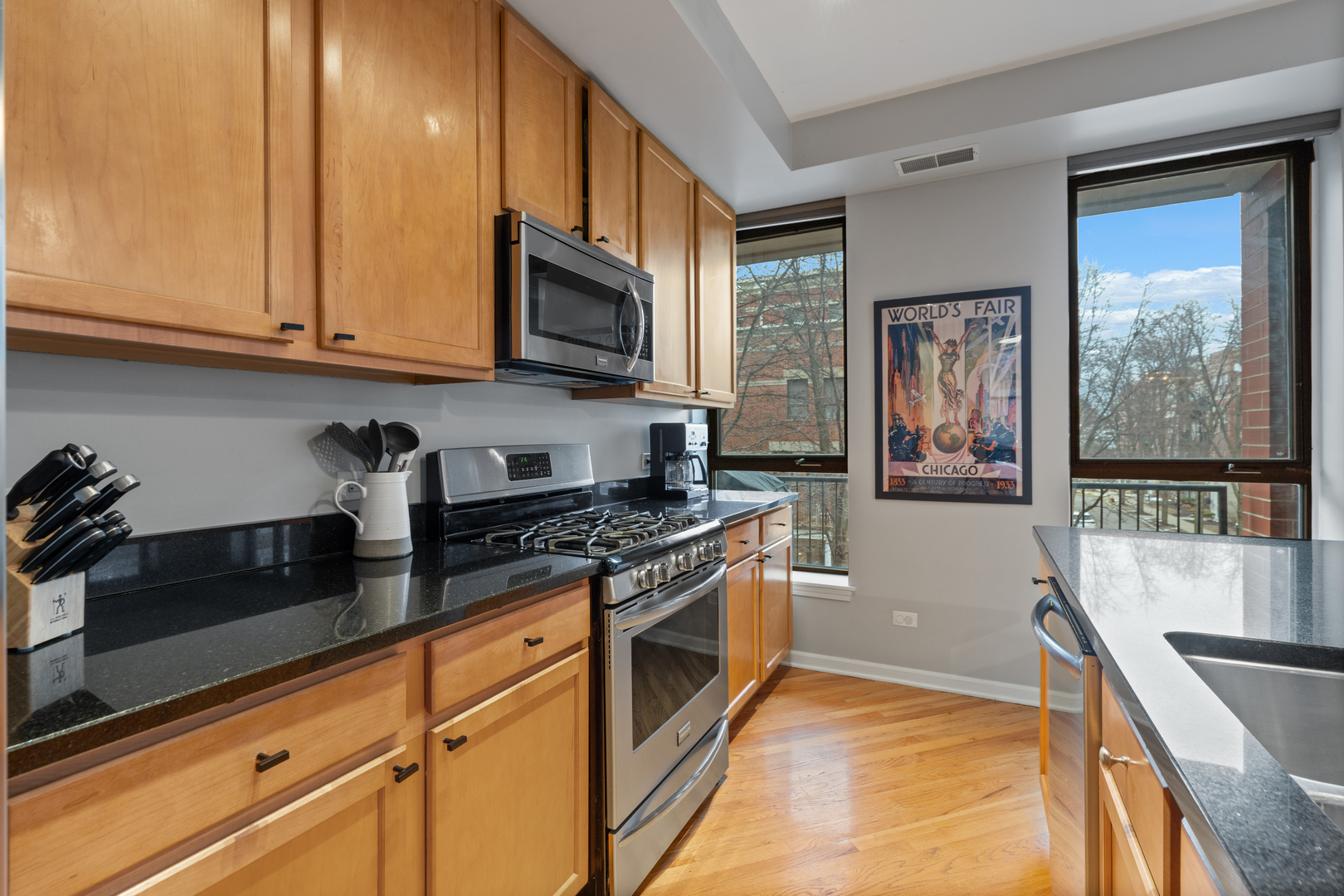 343 W Old Town Court Unit: 204