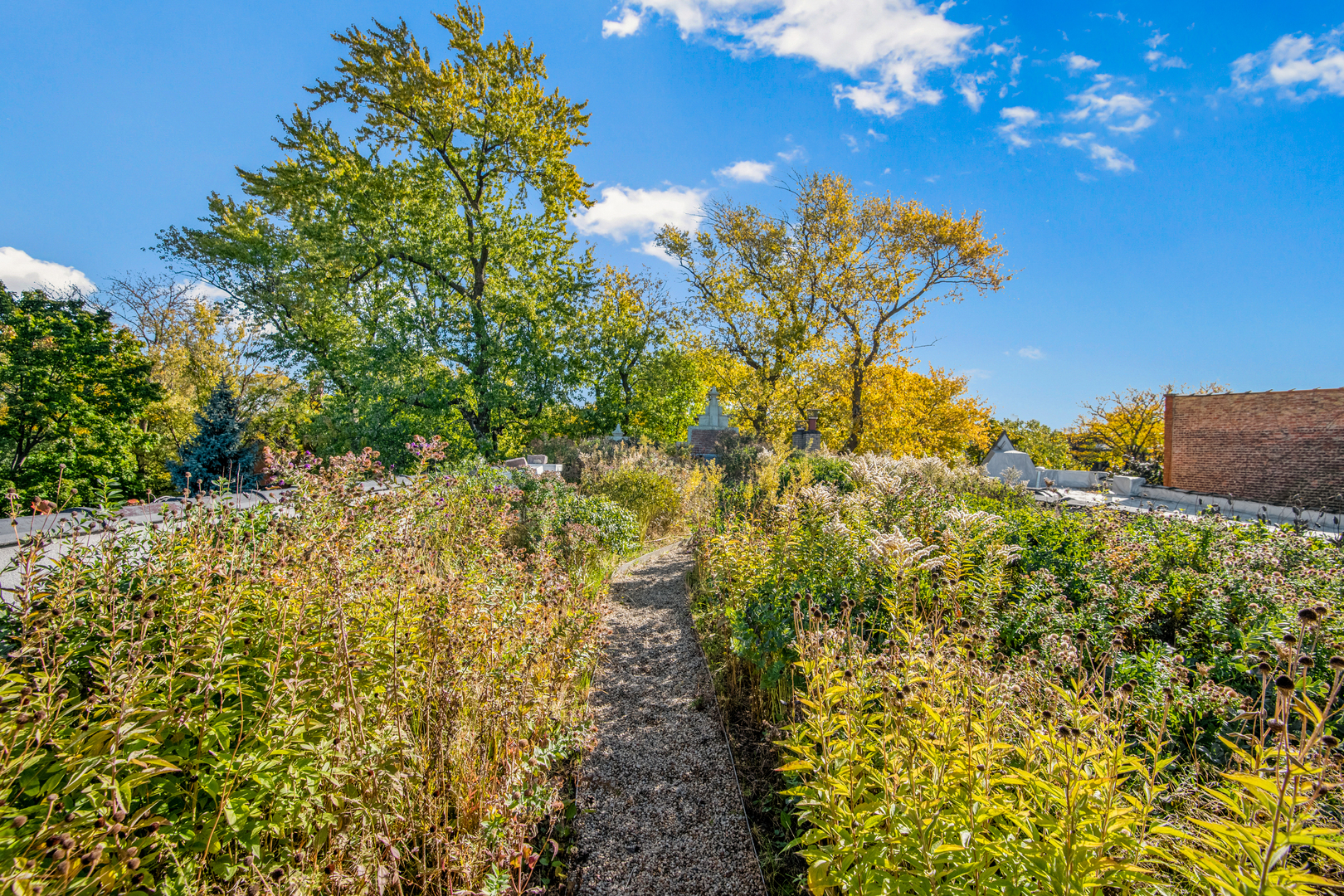 1646 N Leavitt Street