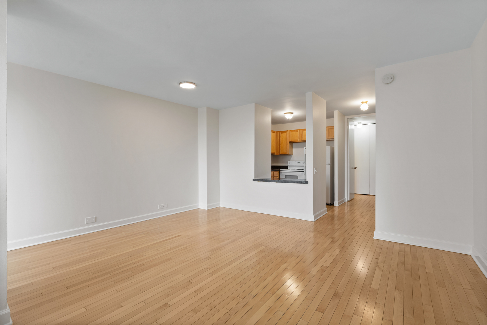 1030 N State Street Unit: 5M
