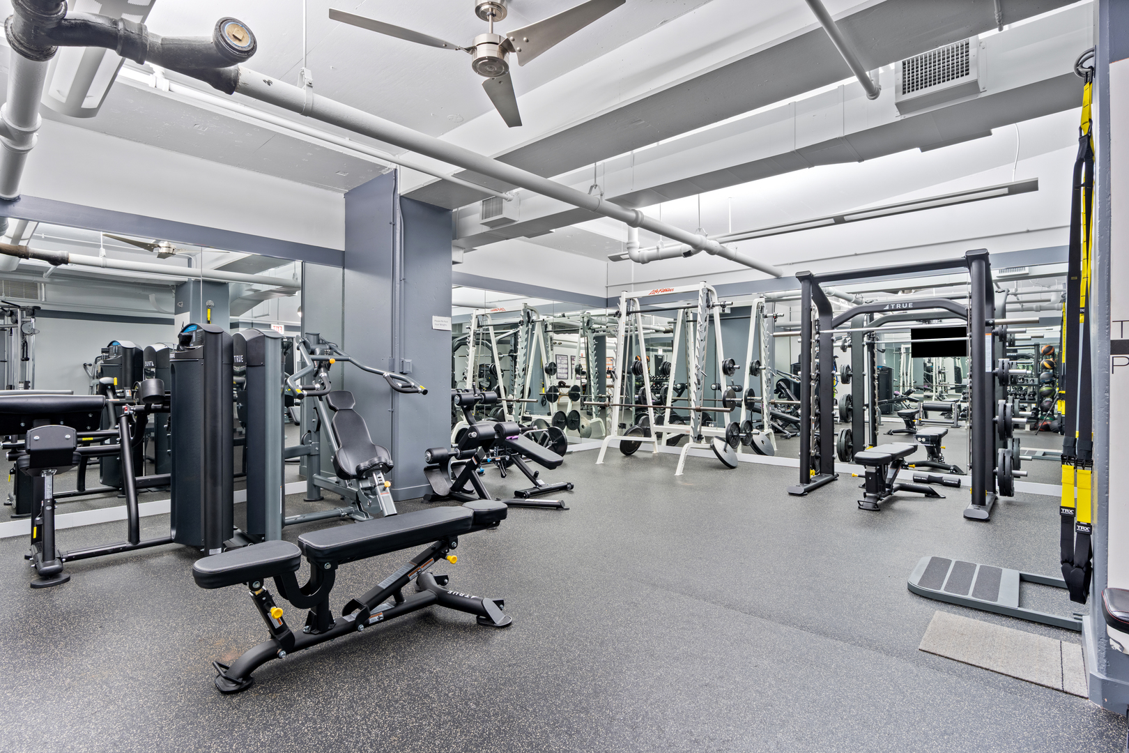 250 E Pearson Street Unit: 1002