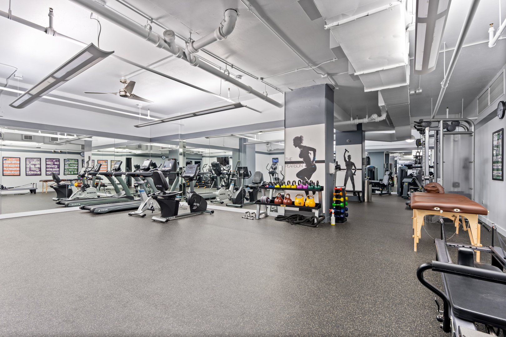 250 E Pearson Street Unit: 1002