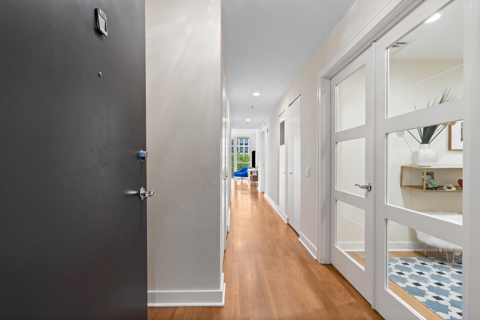 250 E Pearson Street Unit: 1002