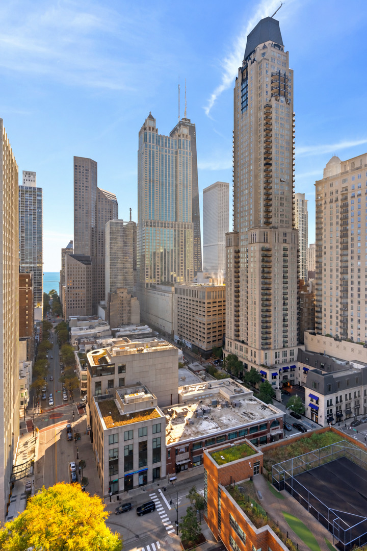 30 W Oak Street Unit: 20A