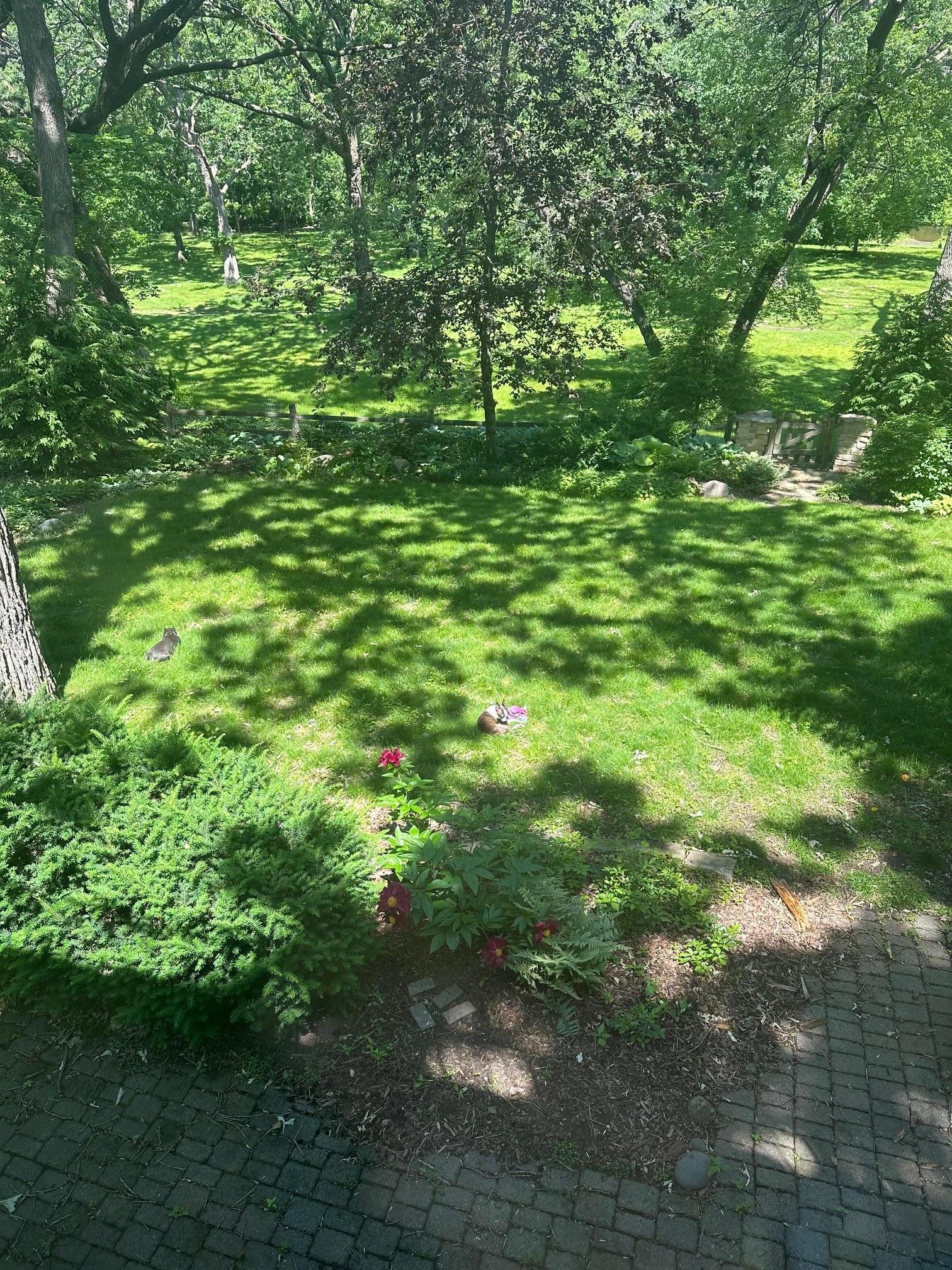 2114 W 53rd Street