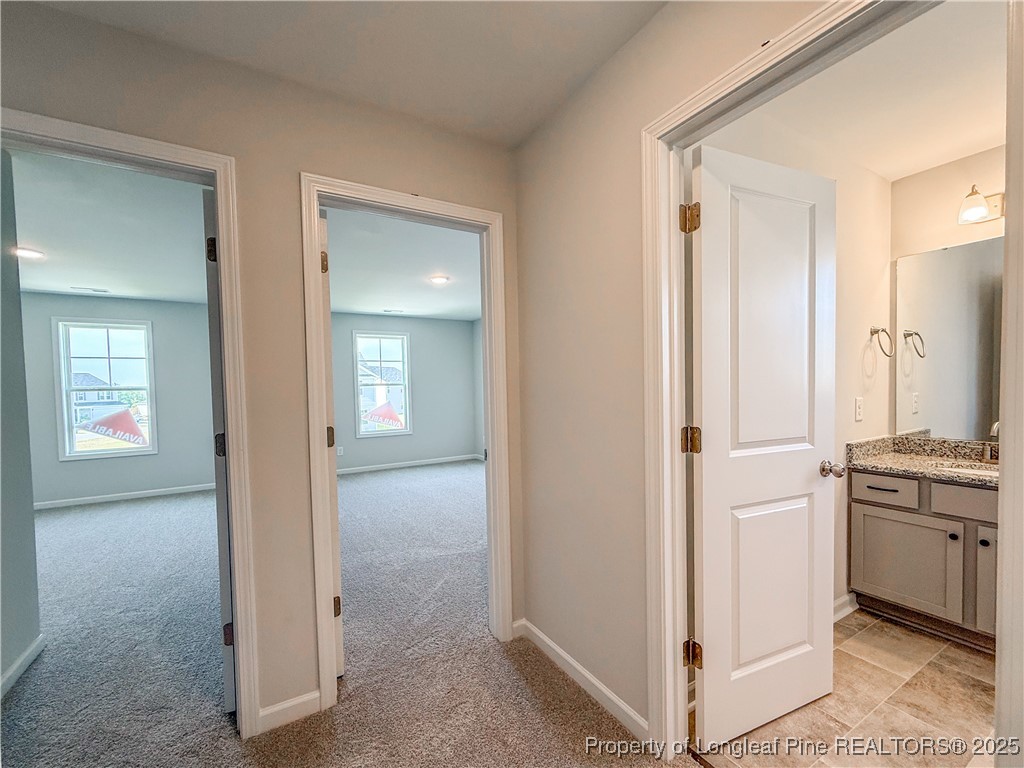 2208 Roadster Pony (138) Lane