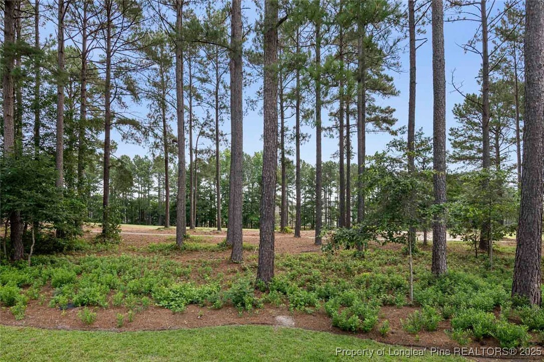 259 Rolling Pines Drive