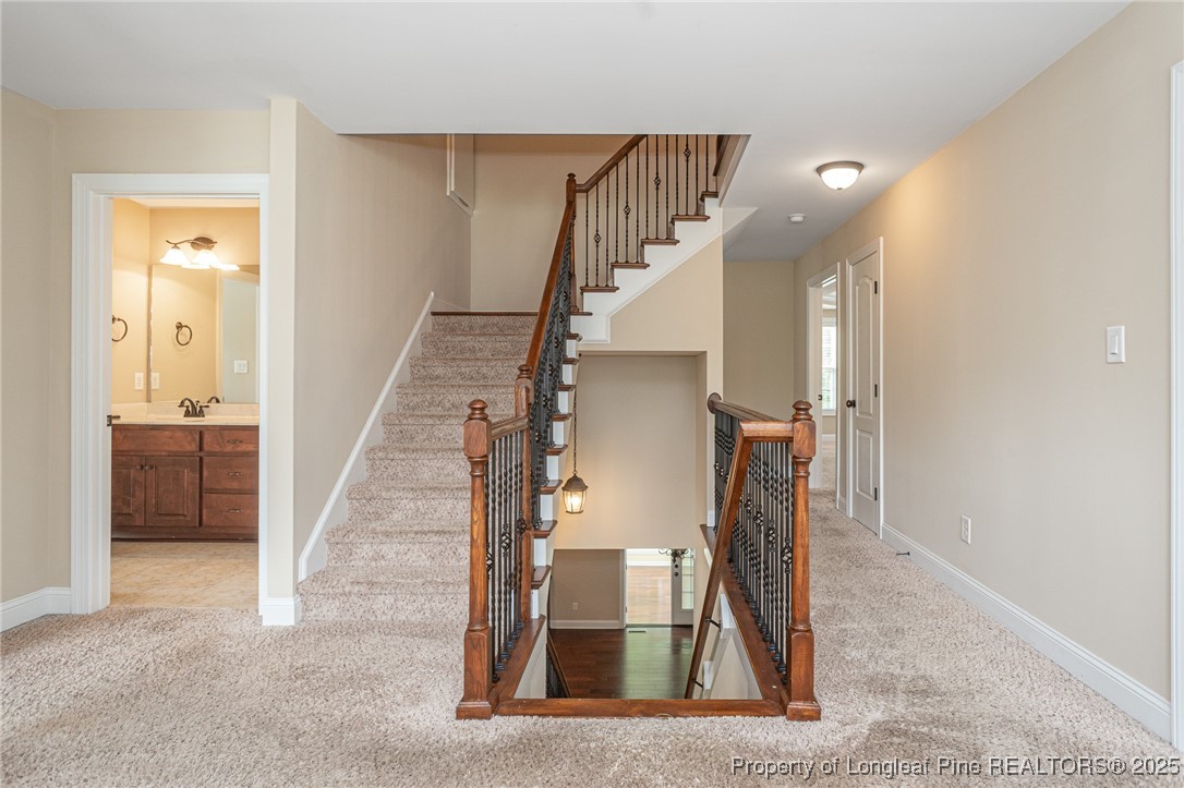 2428 Amigo Drive