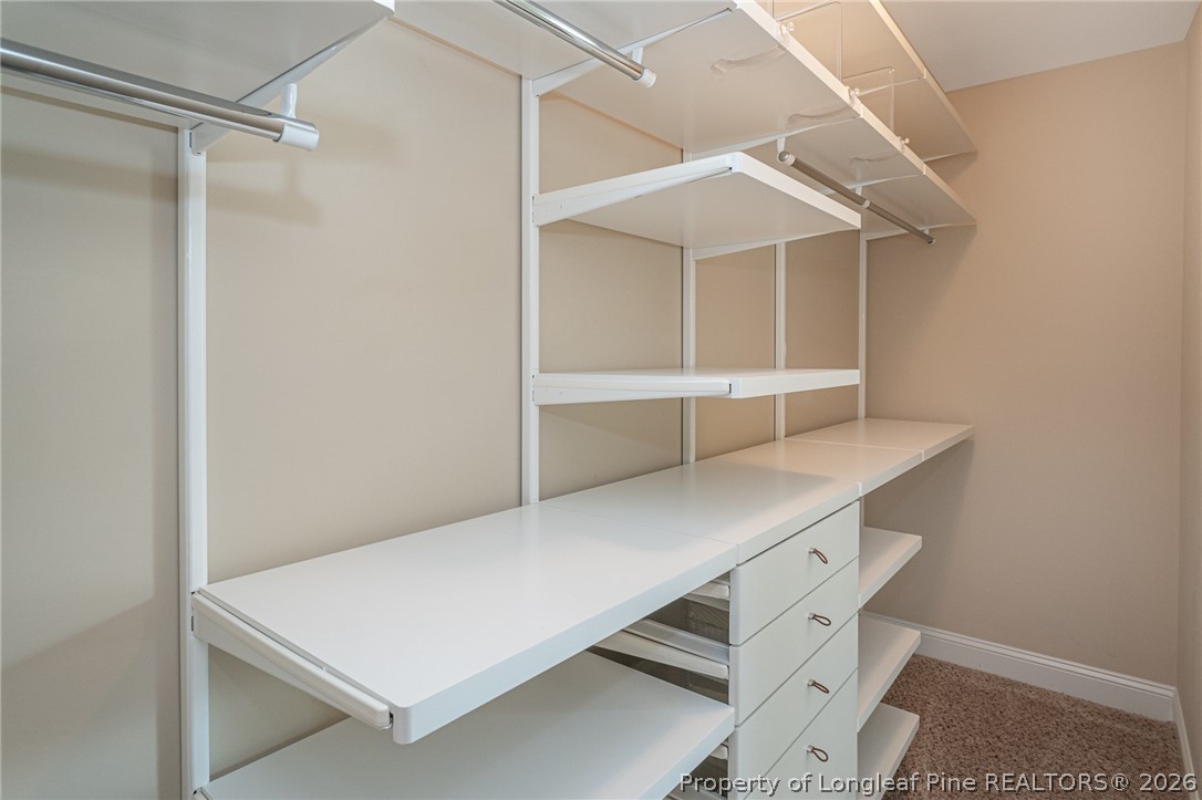 2428 Amigo Drive