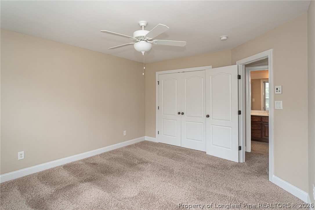 2428 Amigo Drive