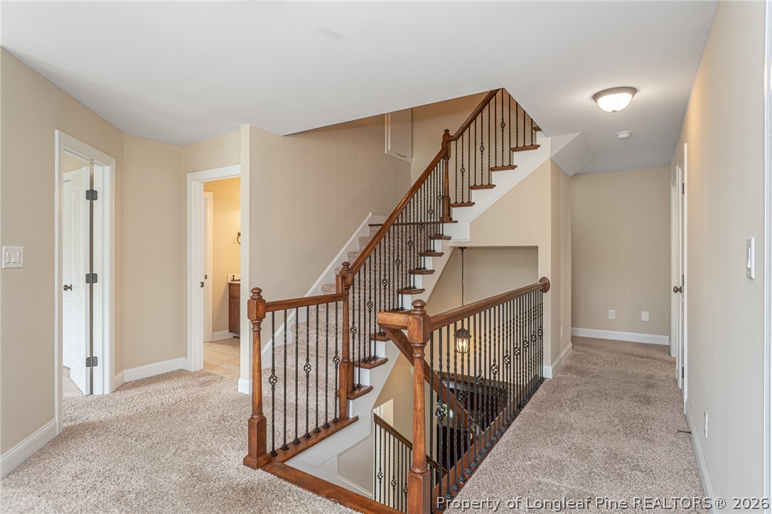 2428 Amigo Drive