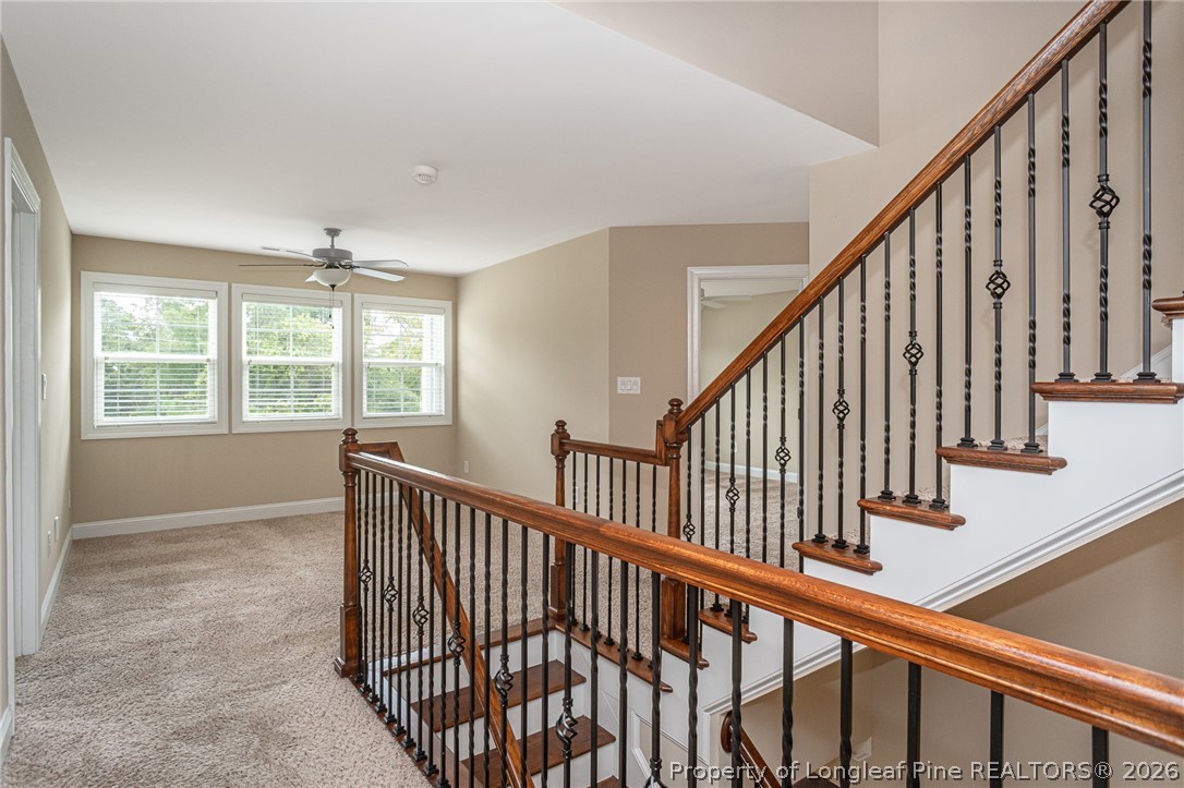 2428 Amigo Drive