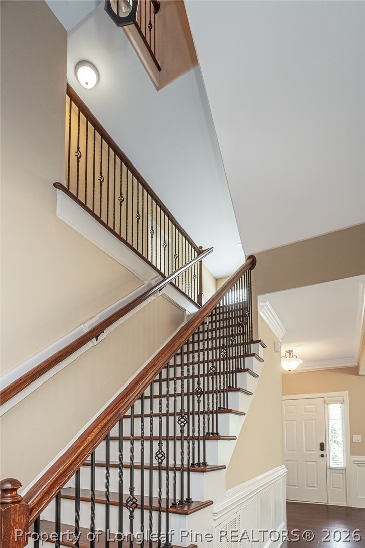 2428 Amigo Drive