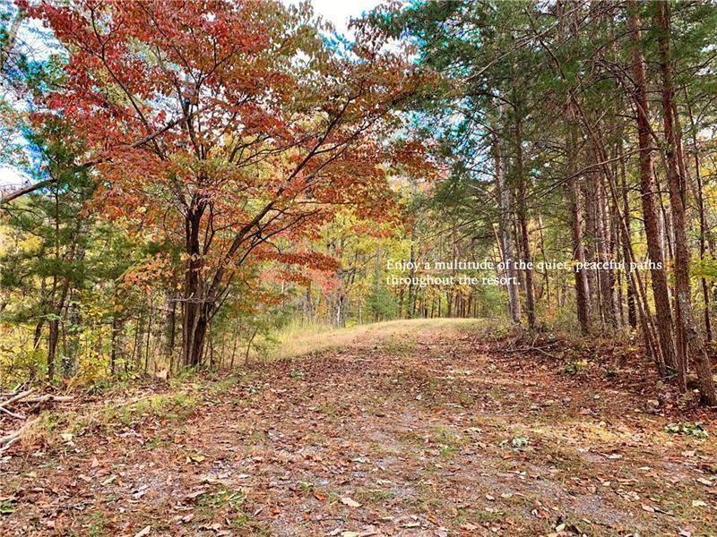 1025 Raccoon Ridge Road