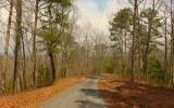 1025 Raccoon Ridge Road
