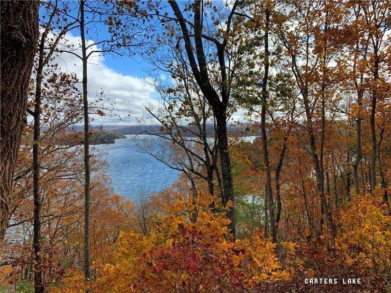 1025 Raccoon Ridge Road