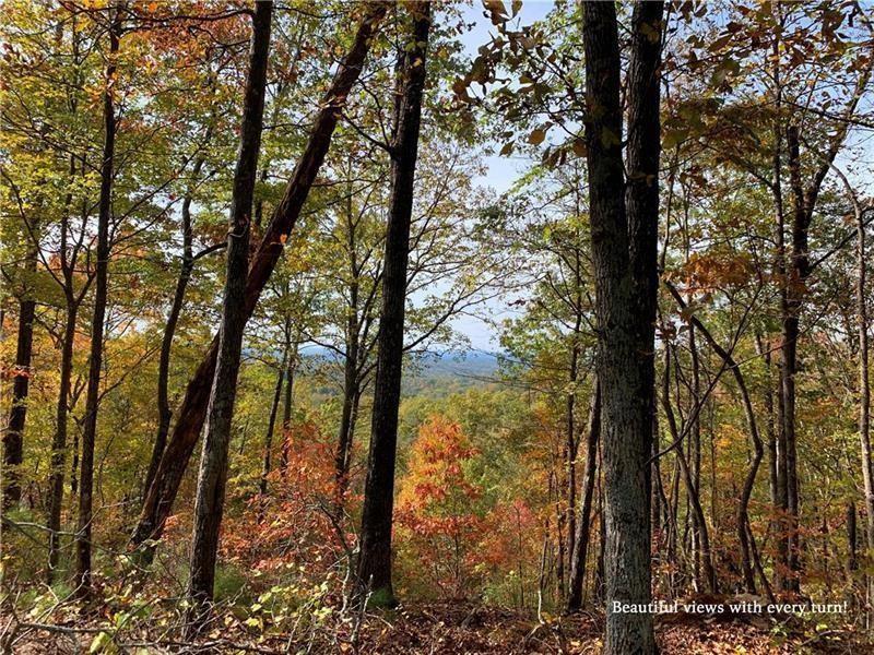 1025 Raccoon Ridge Road