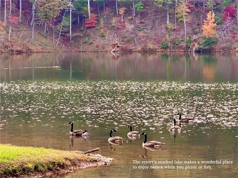 1025 Raccoon Ridge Road